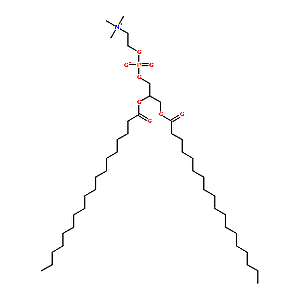 RHAWN 1,2-distearoyl-sn-glycero-3-phosphocholine