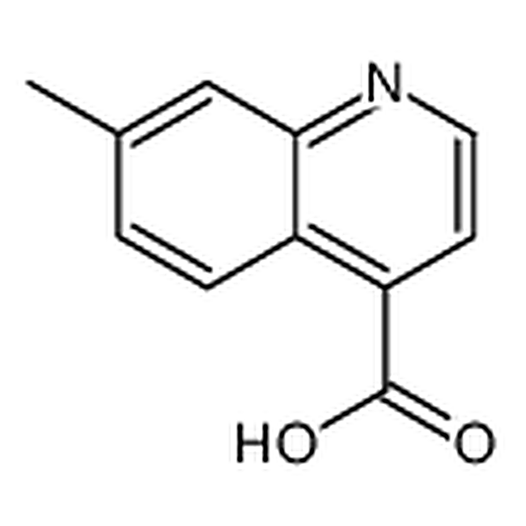 RHAWN 7-Methylquinoline-4-carboxylic acid