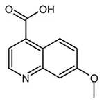 RHAWN 7-Methoxyquinoline-4-carboxylic acid