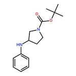 RHAWN tert-Butyl 3-(phenylamino)pyrrolidine-1-carboxylate