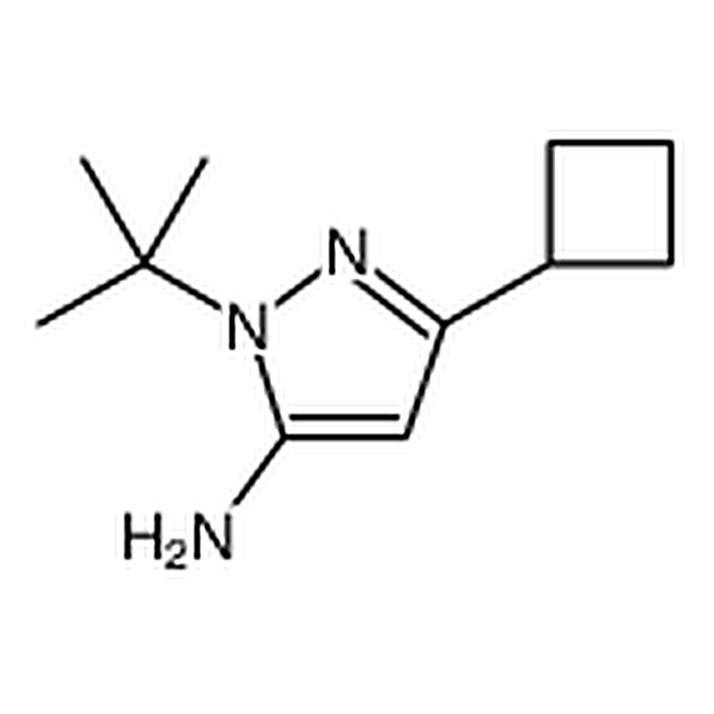 RHAWN 1-(tert-Butyl)-3-cyclobutyl-1H-pyrazol-5-amine