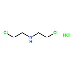 RHAWN Bis(2-chloroethyl)amine hydrochloride