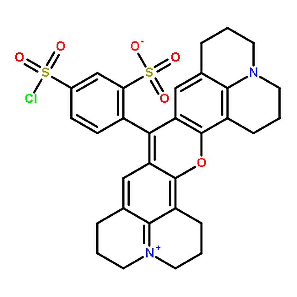 RHAWN Sulforhodamine 101 sulfonyl chloride