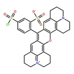 RHAWN Sulforhodamine 101 sulfonyl chloride