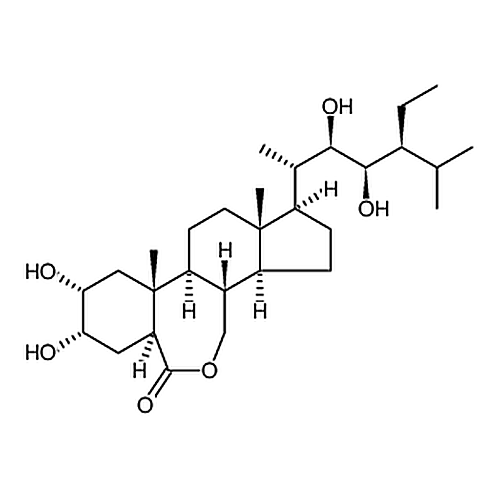 RHAWN 28-homobrassinolide