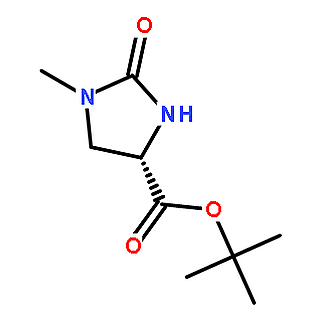 RHAWN (S)-tert-Butyl 1-methyl-2-oxoimidazolidine-4-carboxylate