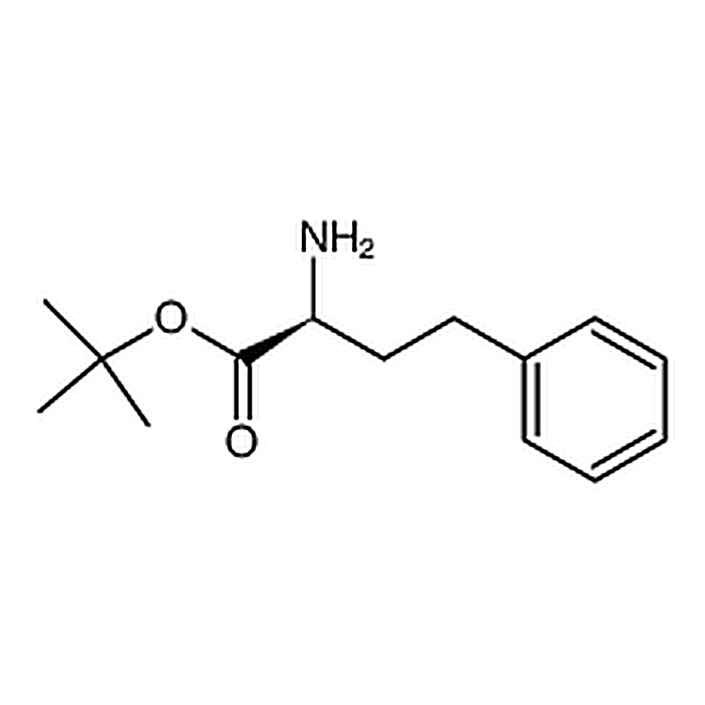 RHAWN L-Homophenylalanine tert-Butyl Ester