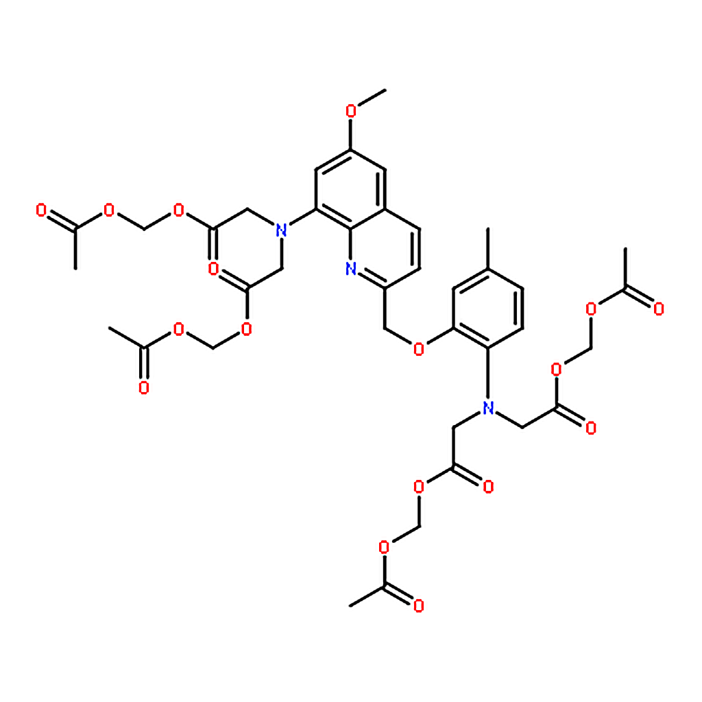 RHAWN Quin-2AM (Quin-2 acetoxymethyl ester)