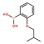 RHAWN 2-Isobutoxyphenylboronic acid