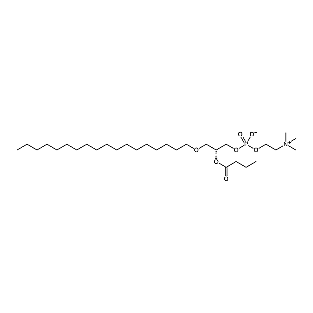 RHAWN 1-0-octadecyl-2-butyryl-sn-glycero-3-phosphocholine
