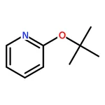 RHAWN 2-(tert-Butoxy)pyridine