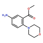 RHAWN methyl 5-amino-2-morpholinobenzenecarboxylate