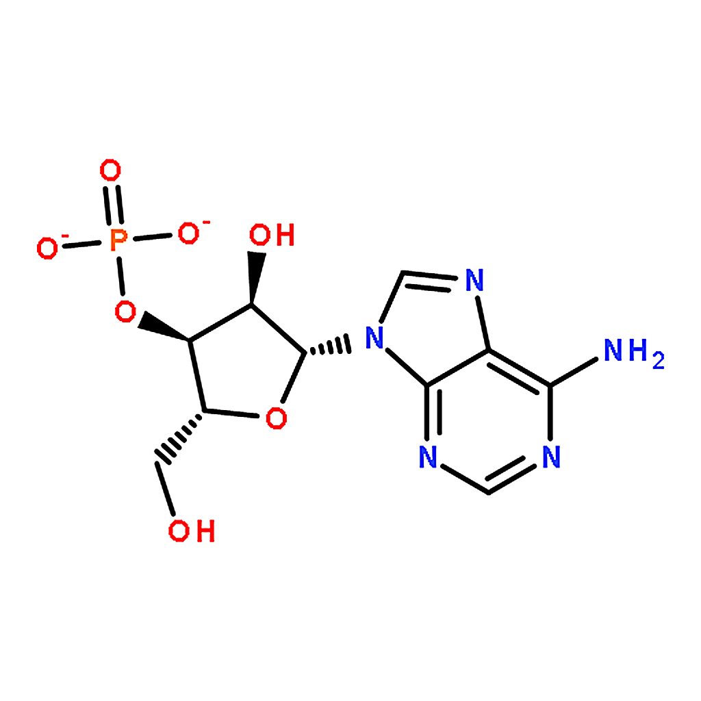 RHAWN Adenosine-3'-monophosphate