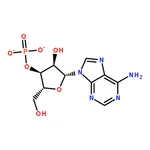 RHAWN Adenosine-3'-monophosphate