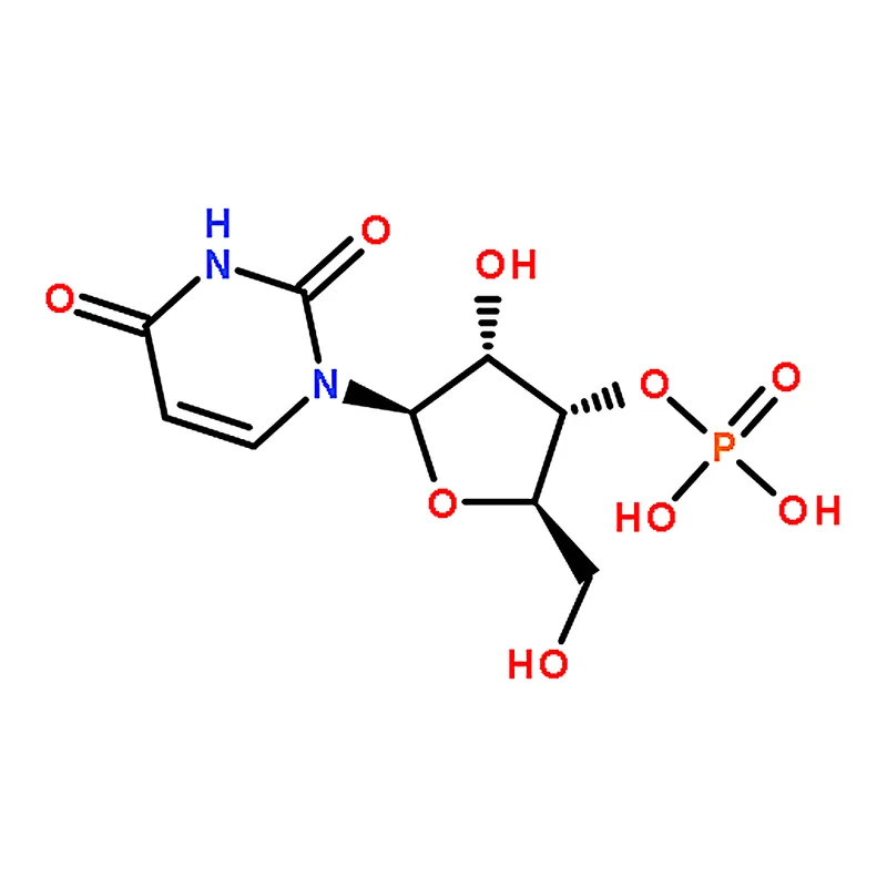 RHAWN URIDYLIC ACID