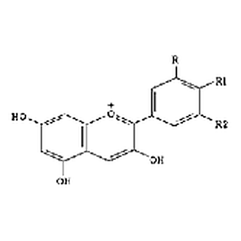 RHAWN Blueberry extract