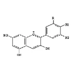 RHAWN Blueberry extract