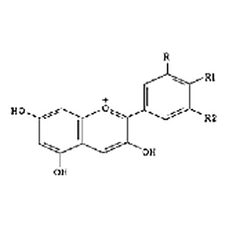 RHAWN Blueberry extract