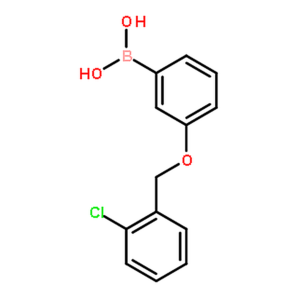 RHAWN (3-((2-Chlorobenzyl)oxy)phenyl)boronic acid