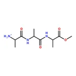 RHAWN L-Alanyl-L-alanyl-L-alanine methyl ester acetate