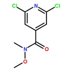 RHAWN 2,6-Dichloro-N-methoxy-N-methylisonicotinamide
