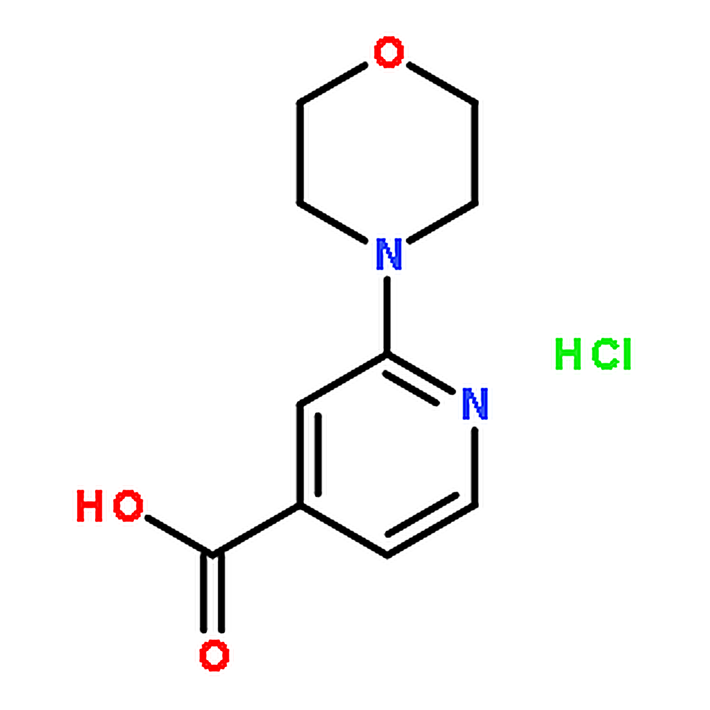 RHAWN 2-Morpholinoisonicotinic acid hydrochloride