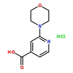 RHAWN 2-Morpholinoisonicotinic acid hydrochloride
