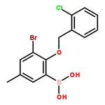 RHAWN (3-Bromo-2-((2-chlorobenzyl)oxy)-5-methylphenyl)boronic acid