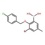 RHAWN 3-Bromo-2-(4'-chlorobenzyloxy)-5-methylphenylboronic acid