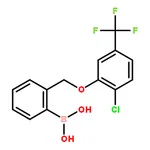 RHAWN (2-((2-Chloro-5-(trifluoromethyl)phenoxy)methyl)phenyl)boronic acid
