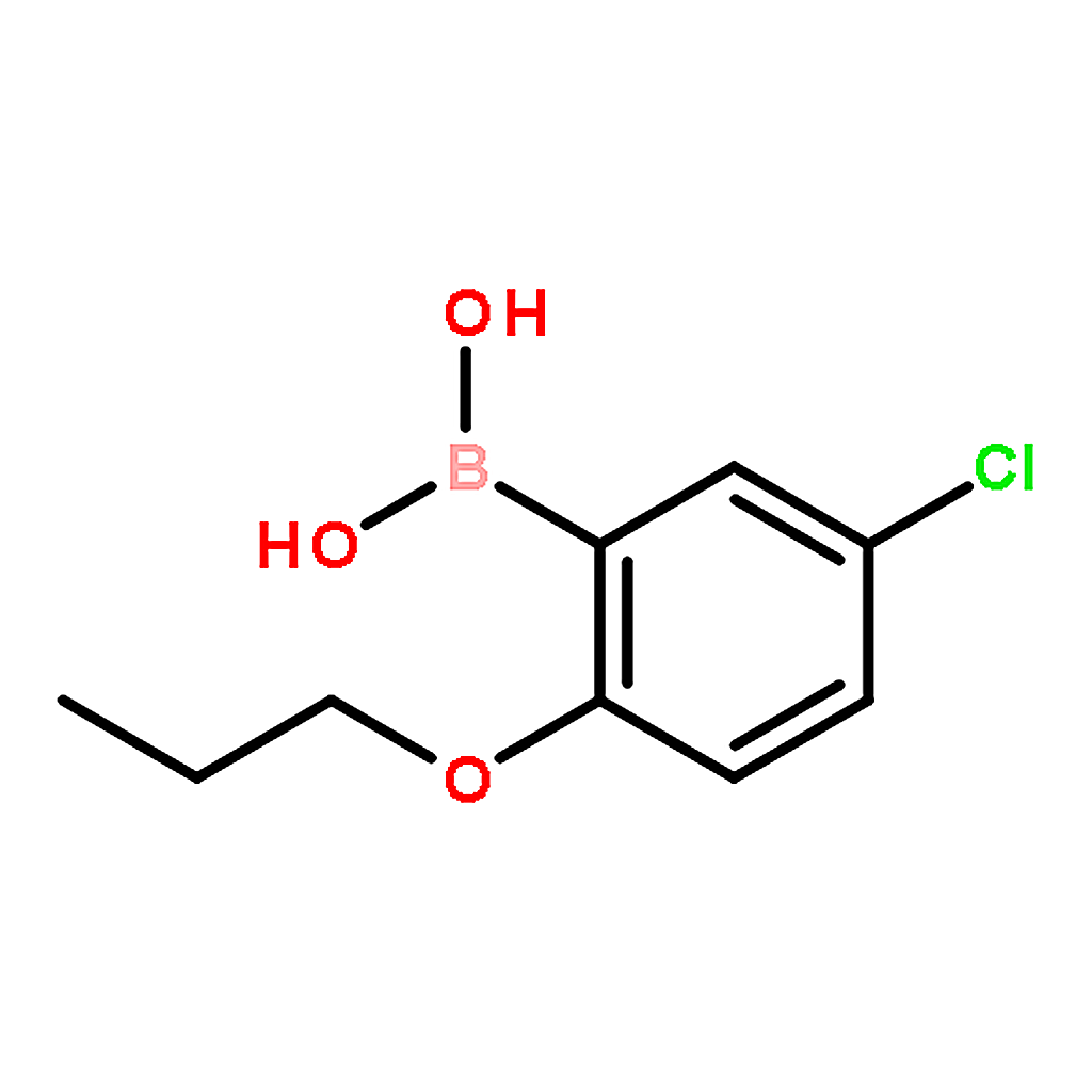 RHAWN 5-Chloro-2-propoxyphenylboronic acid