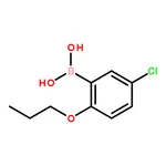 RHAWN 5-Chloro-2-propoxyphenylboronic acid