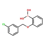 RHAWN (2-((3-Chlorobenzyl)oxy)phenyl)boronic acid