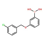 RHAWN (3-((3-Chlorobenzyl)oxy)phenyl)boronic acid