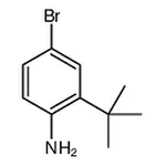 RHAWN 4-Bromo-2-(tert-butyl)aniline