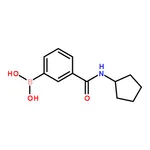 RHAWN 3-(Cyclopentylaminocarbonyl)phenylboronic acid