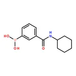 RHAWN 3-(Cyclohexylaminocarbonyl)phenylboronic acid