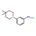 RHAWN 3-(5,5-dimethyl-1,3,2-dioxaborinan-2-yl)aniline hydrochloride
