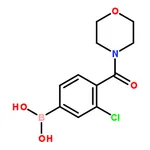 RHAWN 3-Chloro-4-(morpholinocarbonyl)phenylboronic acid
