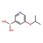 RHAWN (5-Isopropoxypyridin-3-yl)boronic acid
