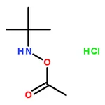 RHAWN O-Acetyl-N-(tert-butyl)hydroxylamine hydrochloride