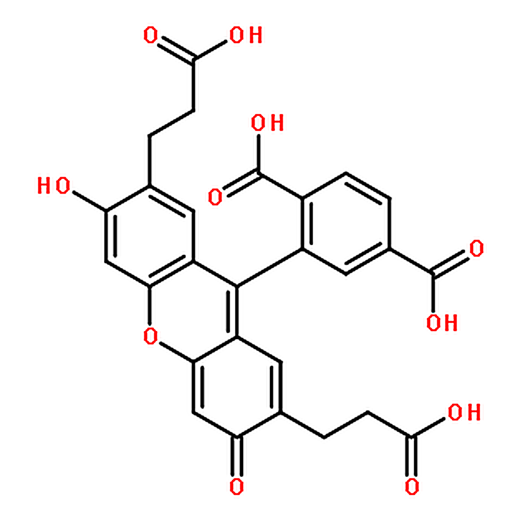 RHAWN 2▽,7▽-Bis(2-carboxyethyl)-5(6)-carboxyfluorescein