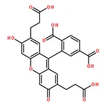 RHAWN 2▽,7▽-Bis(2-carboxyethyl)-5(6)-carboxyfluorescein