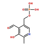 RHAWN Pyridoxal 5▽-phosphate hydrate