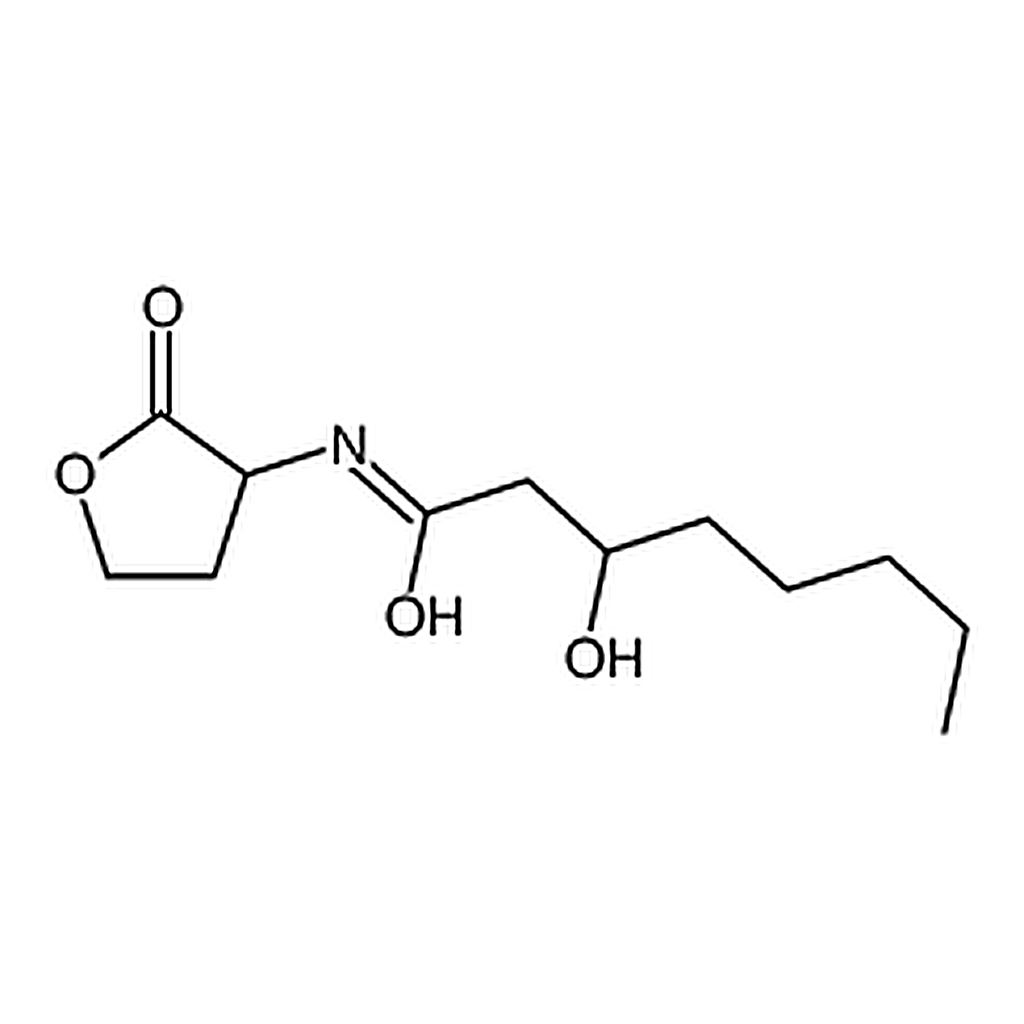 RHAWN N-(3-Hydroxyoctanoyl)-DL-homoserine lactone