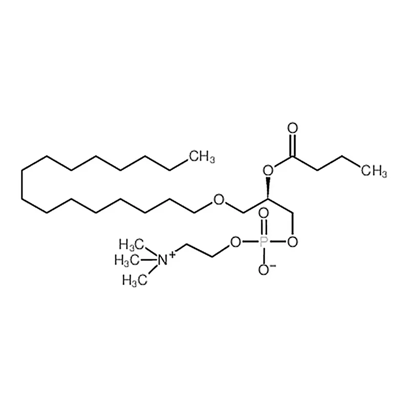 RHAWN 1-O-hexadecyl-2-butyryl-sn-glycero-3-phosphocholine