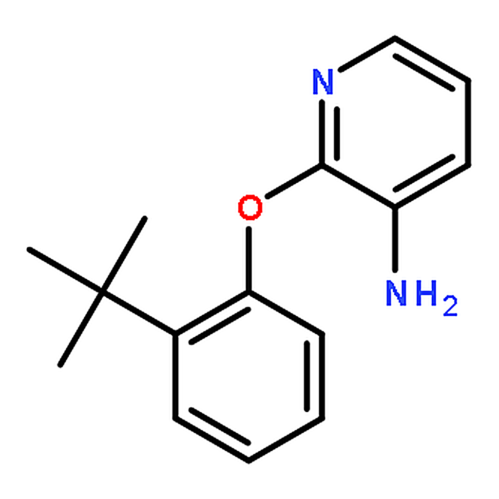 RHAWN 2-(2-(tert-Butyl)phenoxy)pyridin-3-amine