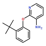 RHAWN 2-(2-(tert-Butyl)phenoxy)pyridin-3-amine