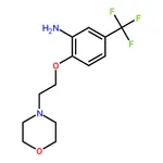 RHAWN 2-(2-Morpholinoethoxy)-5-(trifluoromethyl)aniline