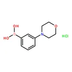 RHAWN 3-Morpholinophenylboronic acid hydrochloride